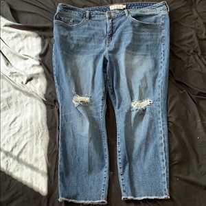 Kentucky star jeans